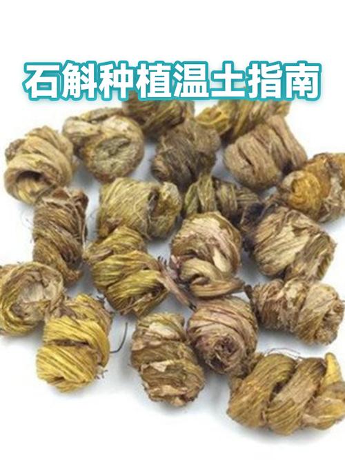 石斛种植温土指南